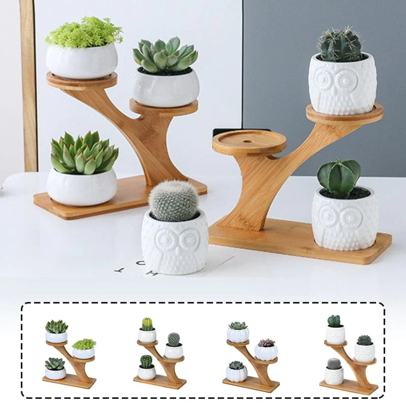 luxury office plant rack 3 Tier Bamboo Stand storage tree top bamboo frame Flower Pot Ceramic Succulent Pots with bamboo rack