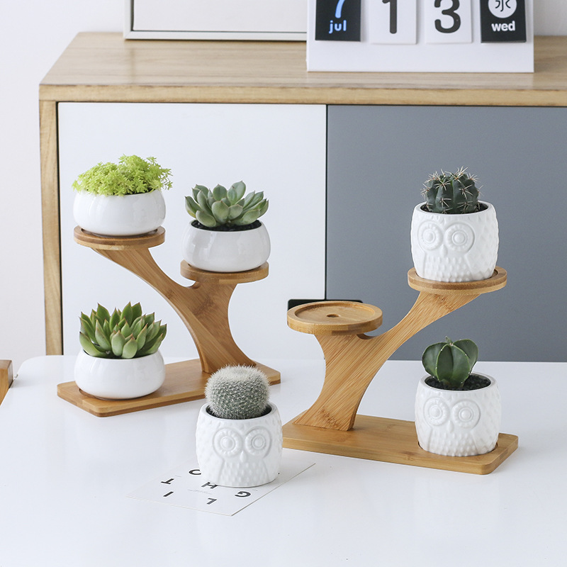 luxury office plant rack 3 Tier Bamboo Stand storage tree top bamboo frame Flower Pot Ceramic Succulent Pots with bamboo rack