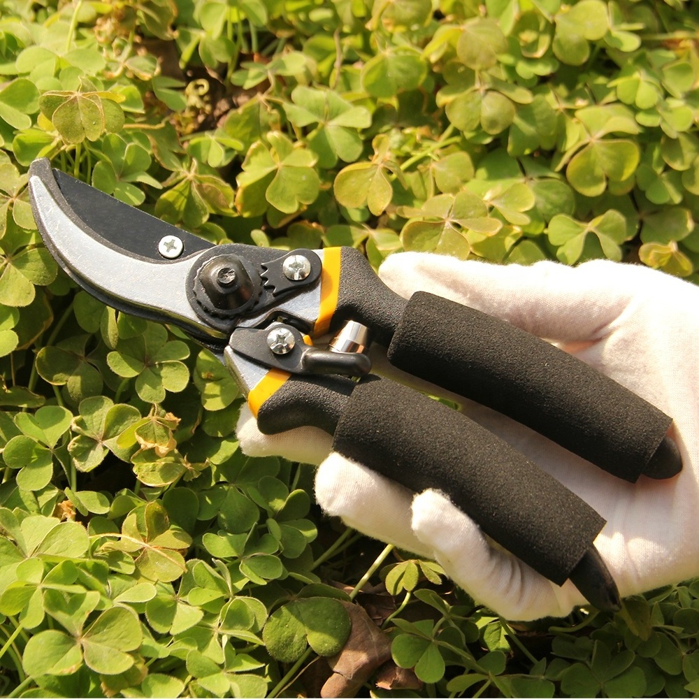 Professional gardening pruning hand tools and handy garden tools,pruning scissors.