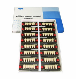 2layer acrylic resin teeth/denture teeth/ resin teeth