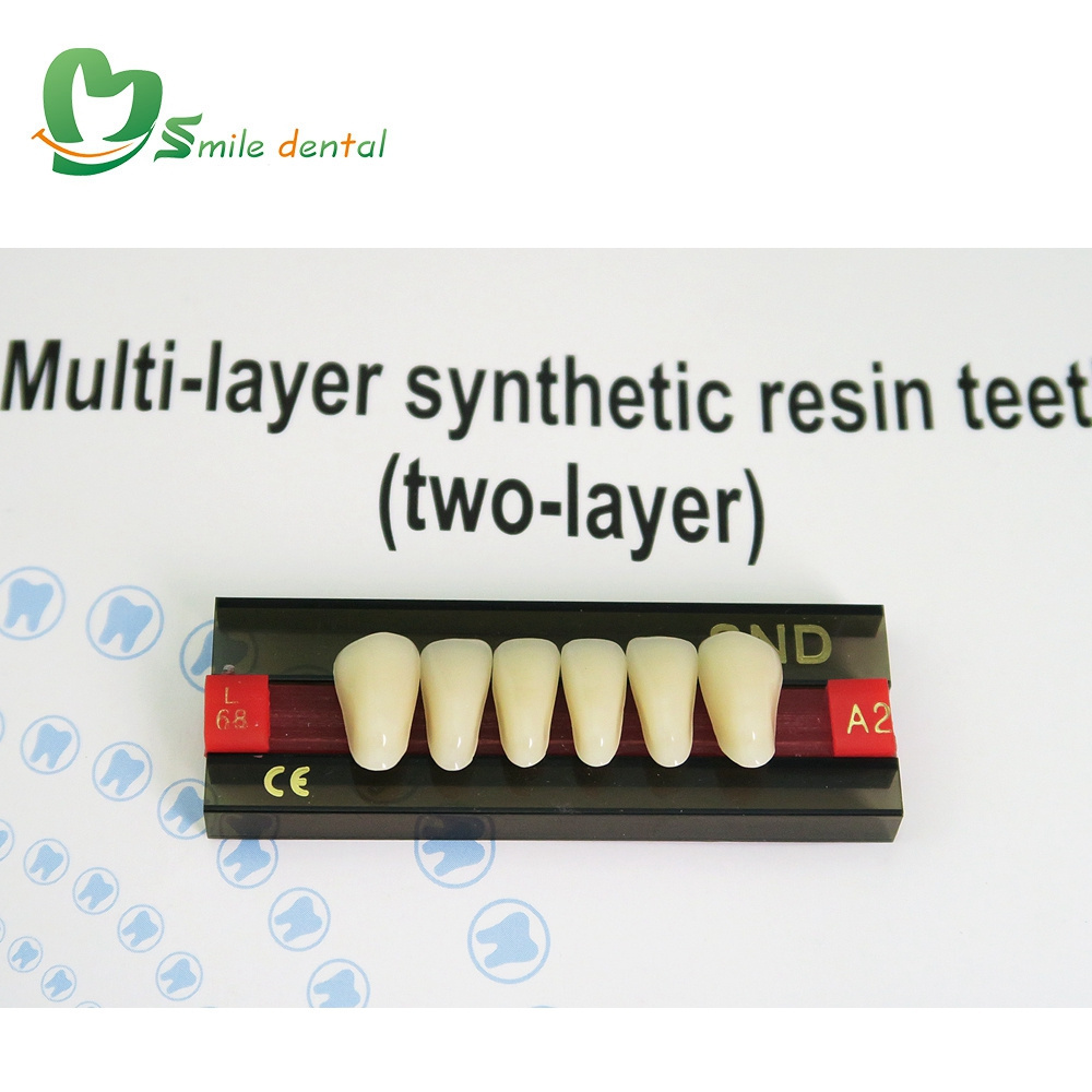 2layer acrylic resin teeth/denture teeth/ resin teeth