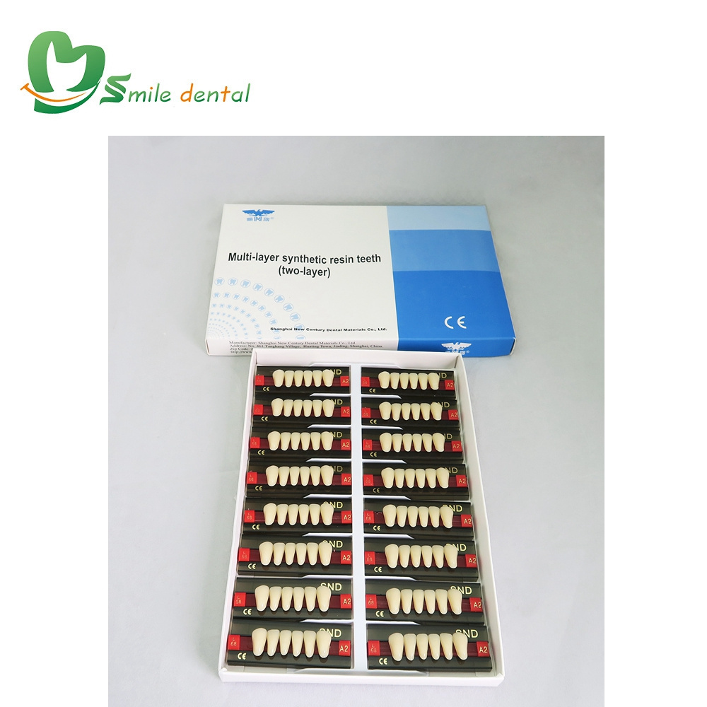 2layer acrylic resin teeth/denture teeth/ resin teeth