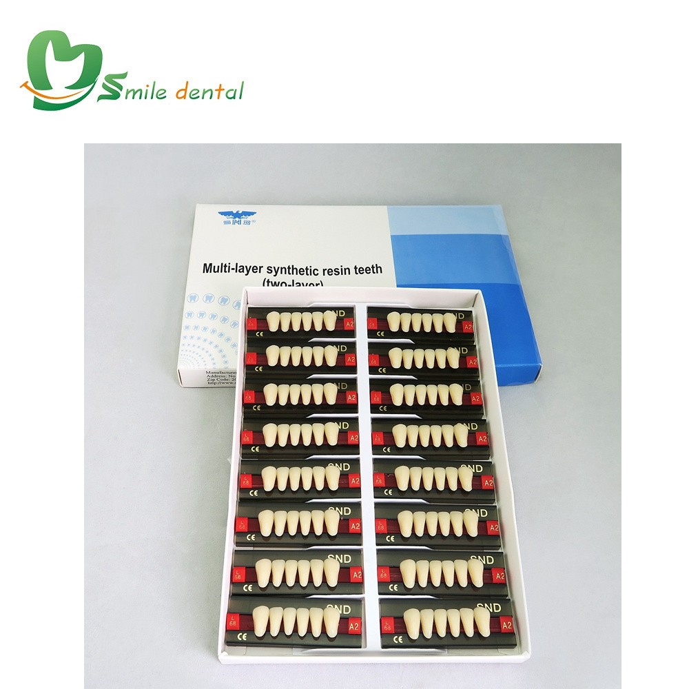 2layer acrylic resin teeth/denture teeth/ resin teeth