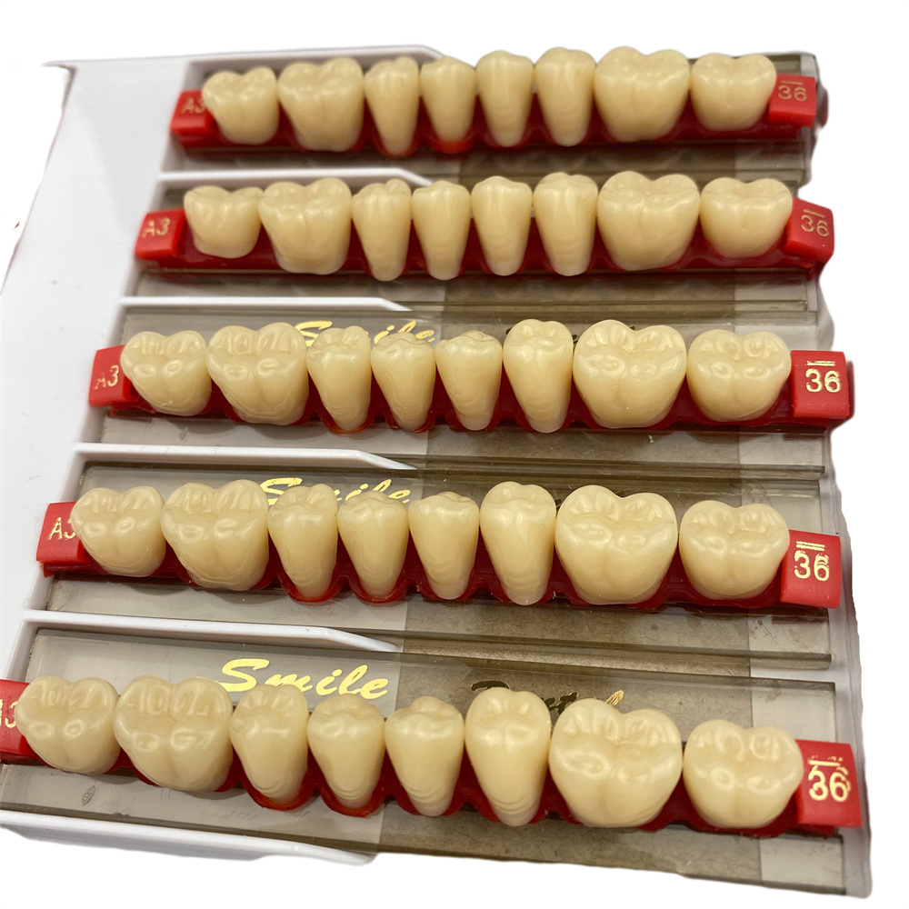 Posterior acrylic resin teeth upper and lower denture making supplies