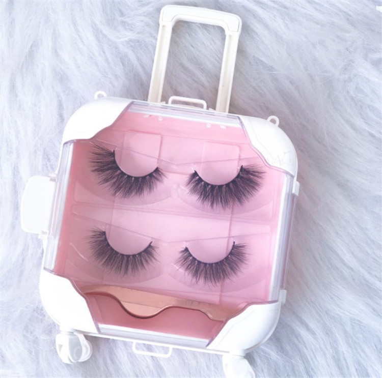 Luxury Custom Hard Plastic Lashbox With Strip Tray Mini Suitcase 3D Mink Lashes Packaging Box With Logo Eye Lashes