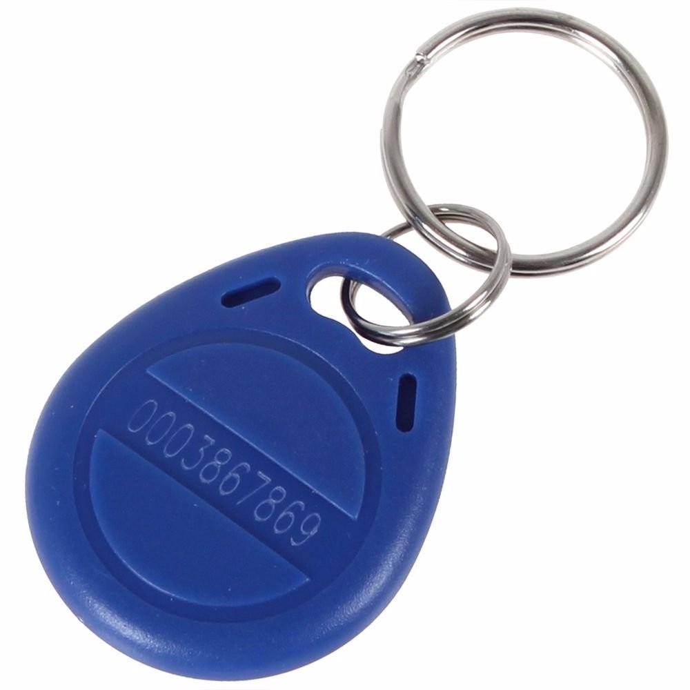 125khz Proximity RFID Keyfob/TK4100, EM4100 Keytag