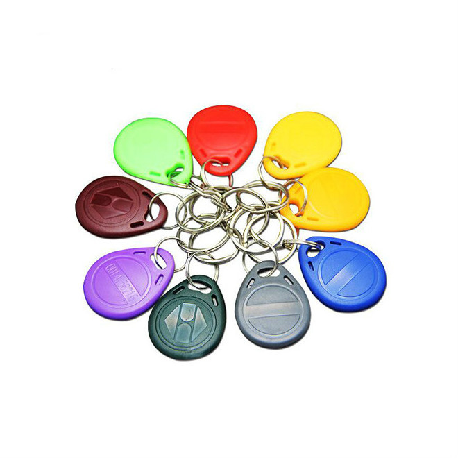 125khz Proximity RFID Keyfob/TK4100, EM4100 Keytag