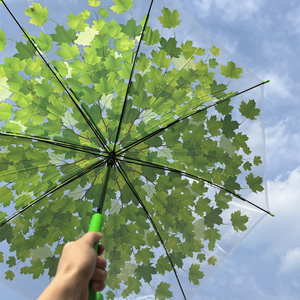 Maple Leaf Transparent Umbrella Rain Day Use Straight Rod Green Leaf Summer Small Fresh Leaf Long Handle Arched Umbrella