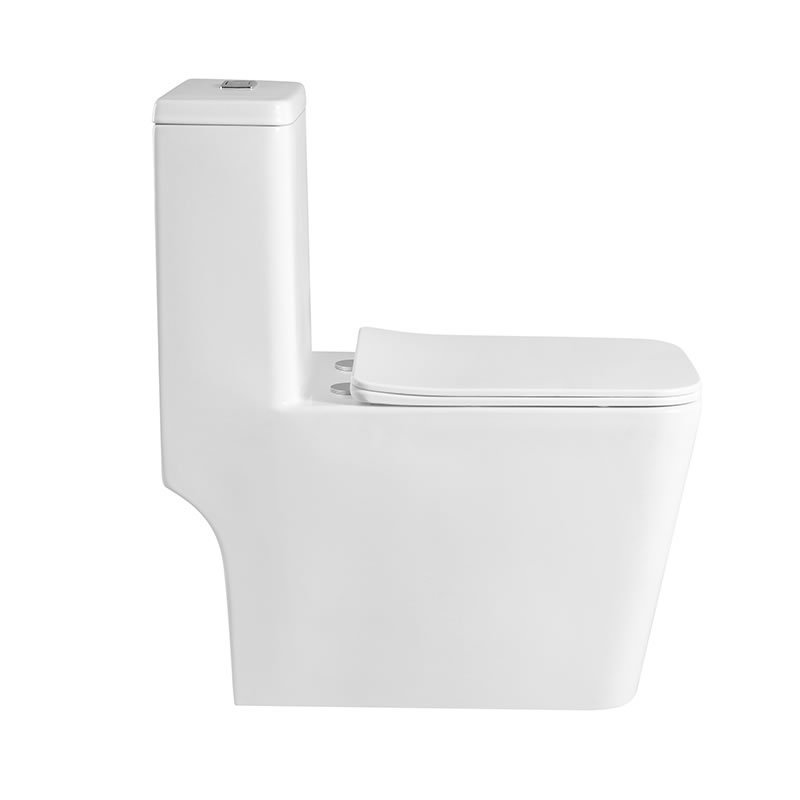 Simple design ceramic rimless washdown one piece wc toilet bowl for public hotel home