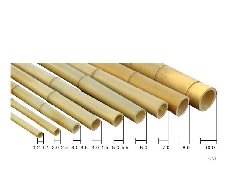 Customized 300cm Nature Raw Large Straight Bamboo Poles For Construction Decoration and Plant Growing