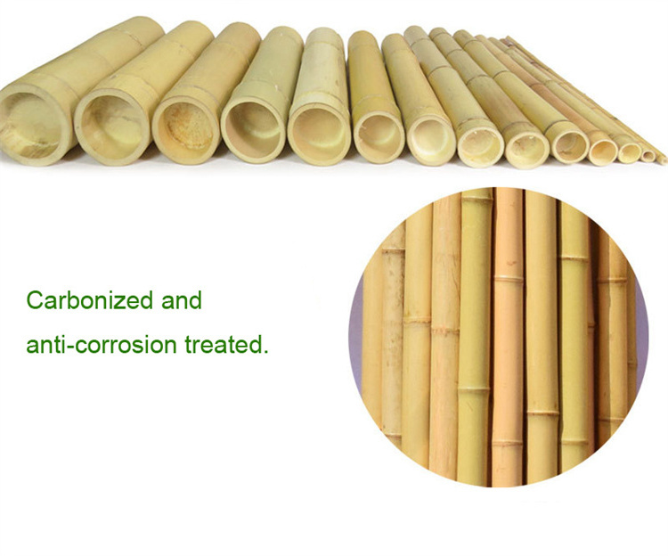 Customized 300cm Nature Raw Large Straight Bamboo Poles For Construction Decoration and Plant Growing