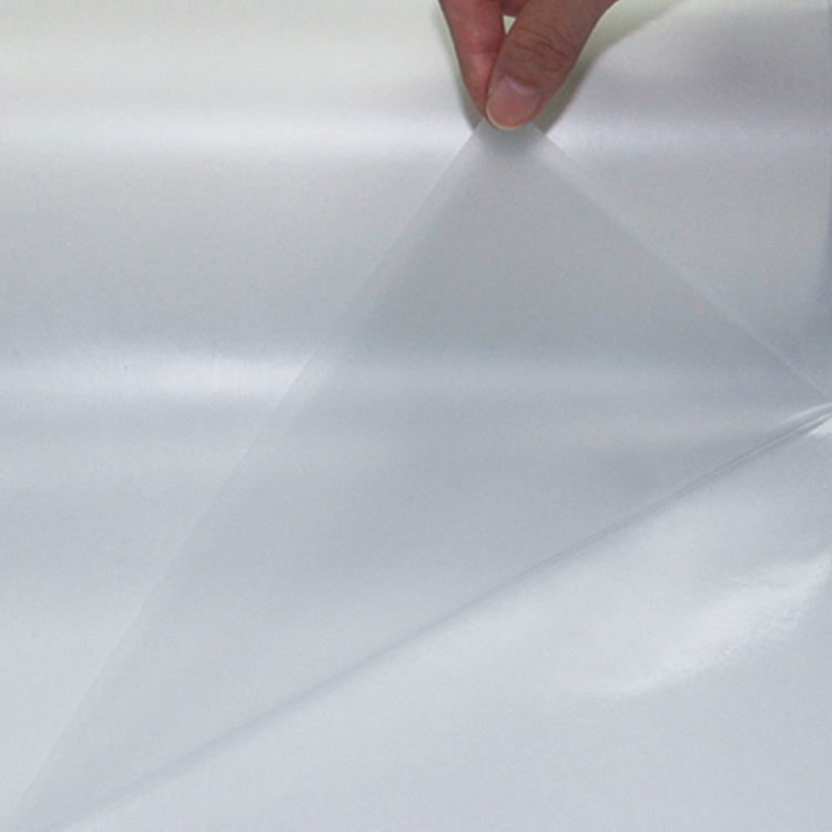 Adhesive Film For Textile Fabric Iron Hot Melt Glue Sheets