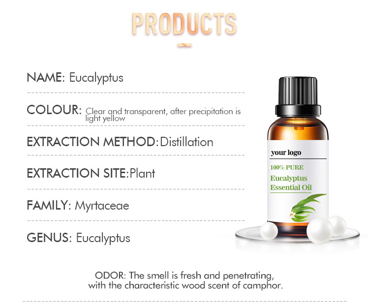 High Quality Eucalyptus Essential Oil & Natural 100% Pure Carrot Oil for Skin Lightening Raw Material Lightening Oil Top Grade