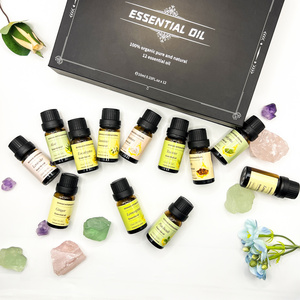 OEM Essential Oils Set 10ml Organic kit (new) for Diffusers Aromatherapy Peppermint Tea Tree Lavender Eucalyptus Lemongrass