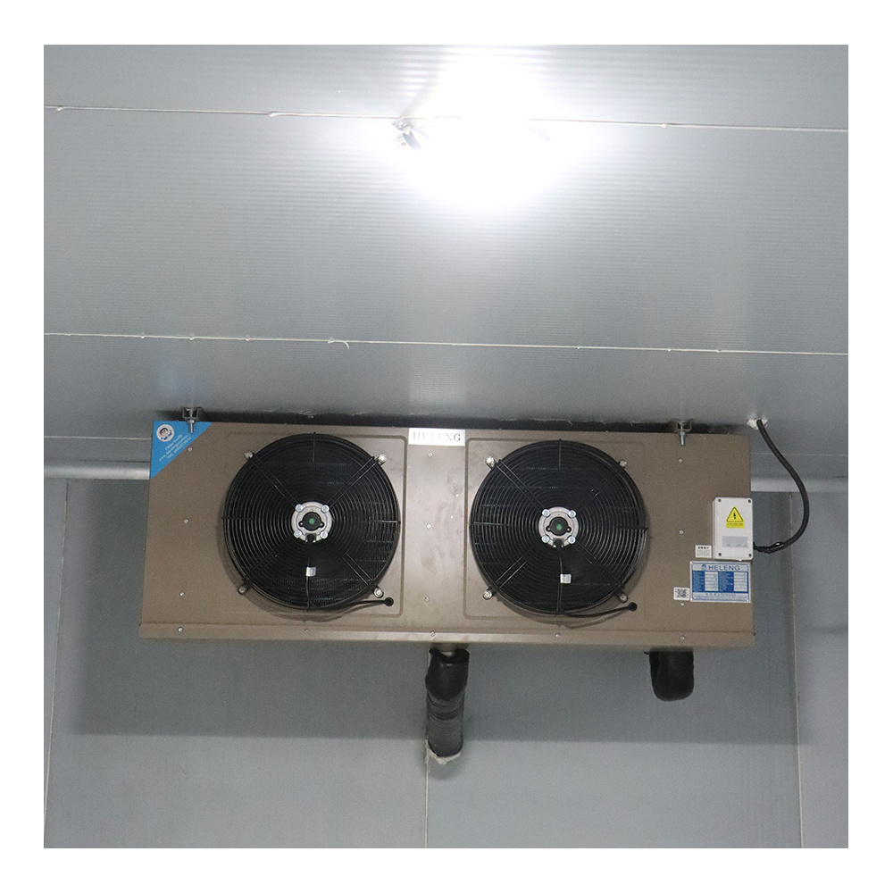 Low Cost Cold Storage Freezer Cold Room Construction Warehouse Cold Storage Refrigeration Equipment Frozen Custom Marketing Key