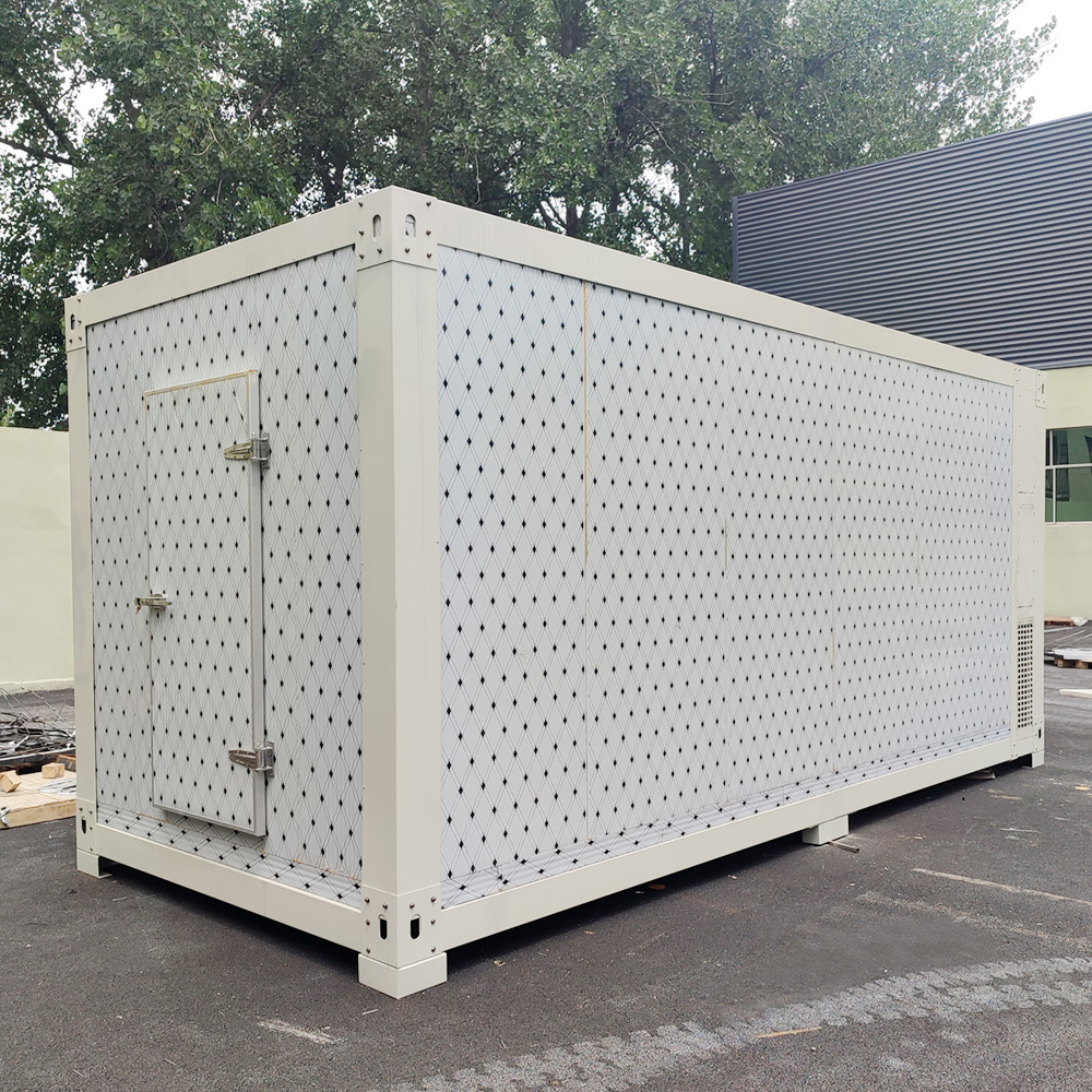 20ft 40ft Cold Storage Container Customize Container Restaurant Provided Energy Saving Freezing Chamber Fusheng Air Compressor