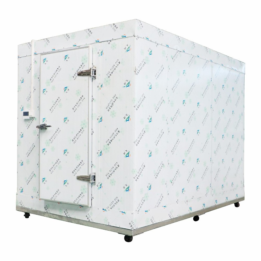 Highly Efficient 20gp/40hq Containerized Solar Powered Coldroom Cold Room/Solar Power Cold Storage -