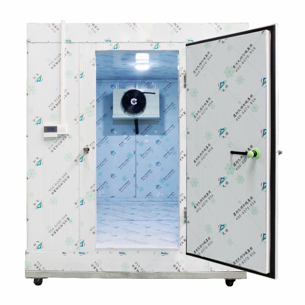 Highly Efficient 20gp/40hq Containerized Solar Powered Coldroom Cold Room/Solar Power Cold Storage -