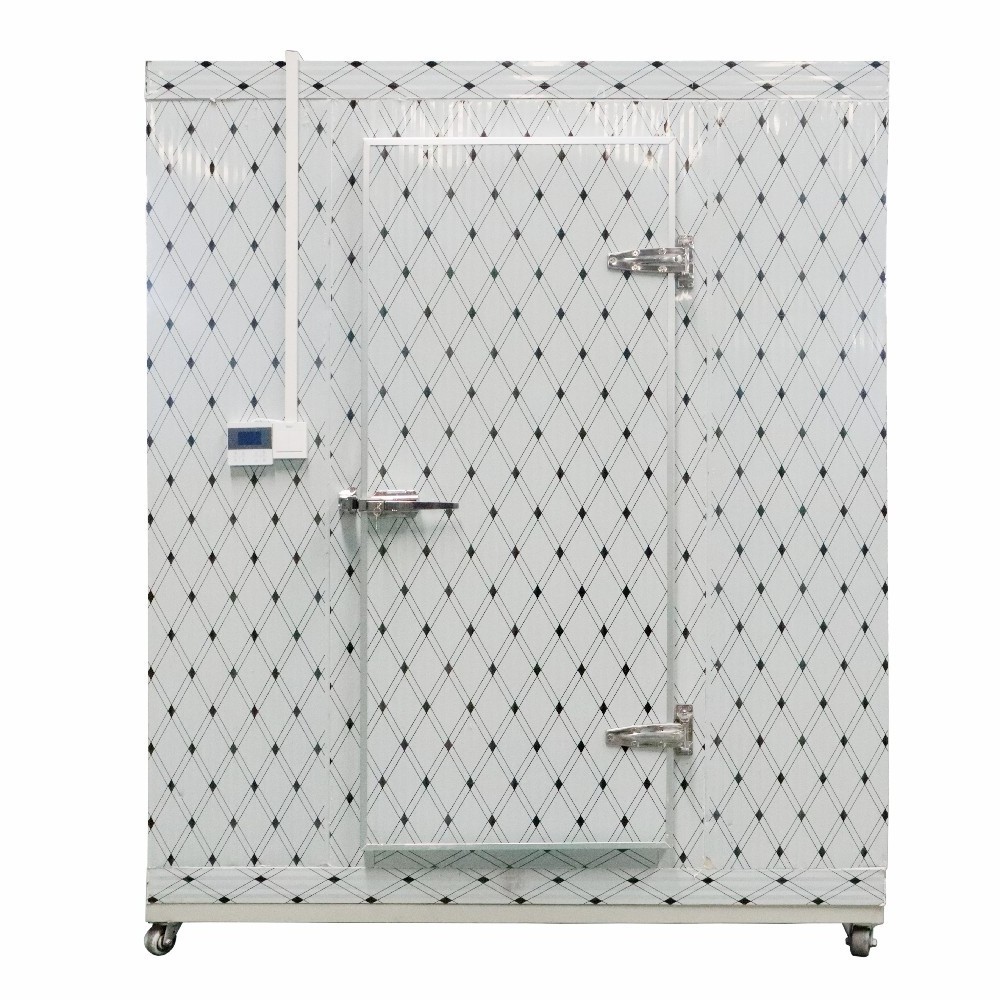 Freezer Refrigeration for Chicken Beef Cold Room Low Temperature walk in cooler cold storage for fruits and vegetables