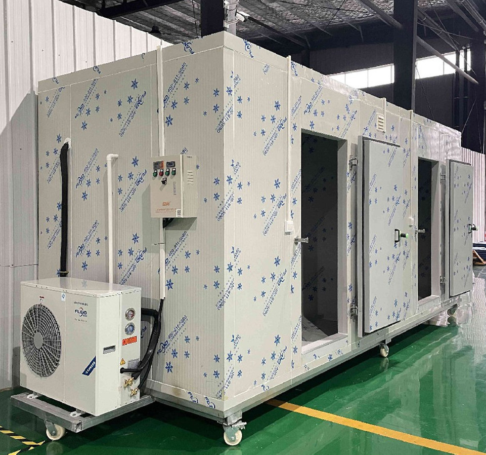 20ft 40ft Cold Storage Container Customize Container Restaurant Provided Energy Saving Freezing Chamber Fusheng Air Compressor