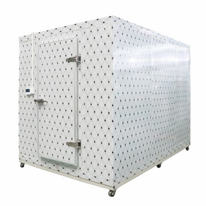 Freezer Refrigeration for Chicken Beef Cold Room Low Temperature walk in cooler cold storage for fruits and vegetables