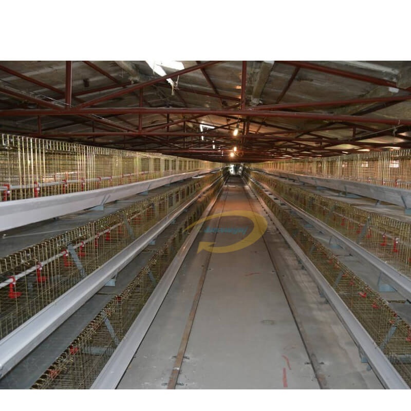 chick live transport mozambique chicken farm poultry cages for layer chickens cage mesh chicken broiler cage