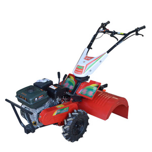 Mini Rotary Tiller/Power Tiller/Small Agricultural Land Machine/9 HP Cultivator