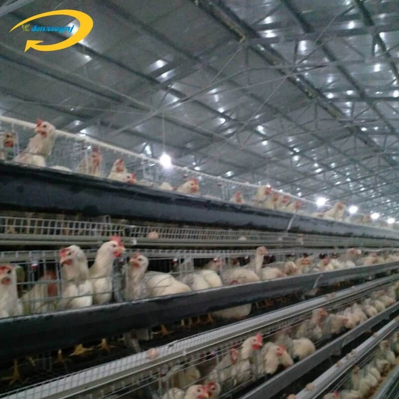 chick live transport mozambique chicken farm poultry cages for layer chickens cage mesh chicken broiler cage