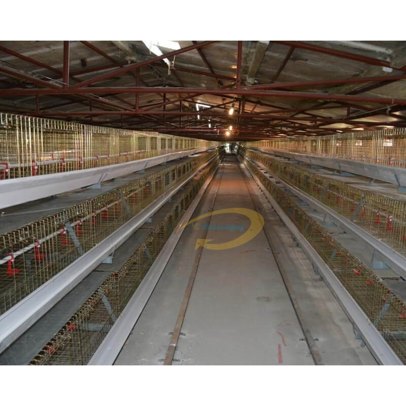 brooder chick coop egg chicken layer cage price h cage boiler chicken uganda layer farm chicken cage for sale