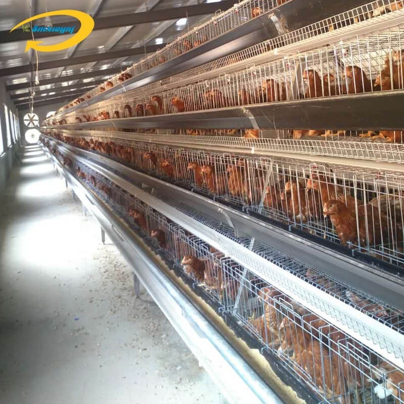 chick live transport mozambique chicken farm poultry cages for layer chickens cage mesh chicken broiler cage