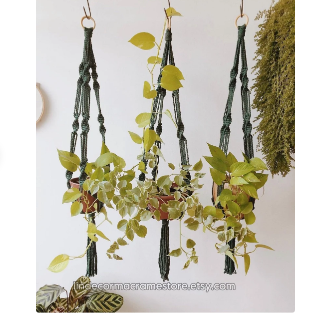 Indoor Garden Plant Holder Customized Macrame plant hanger For Wall and Window Decoration