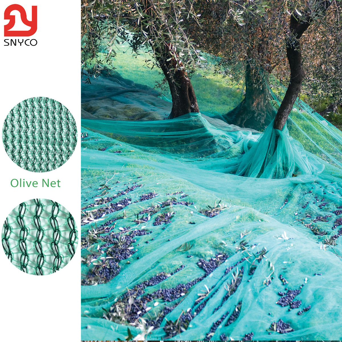 OLIVE NET - OEM High quality 100% HPDE Olive Harvest Net and Other kinds of fruits Collect Netting