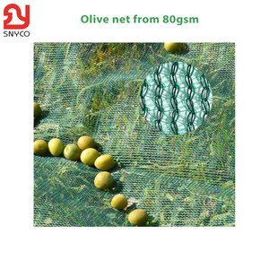 OLIVE NET - OEM High quality 100% HPDE Olive Harvest Net and Other kinds of fruits Collect Netting