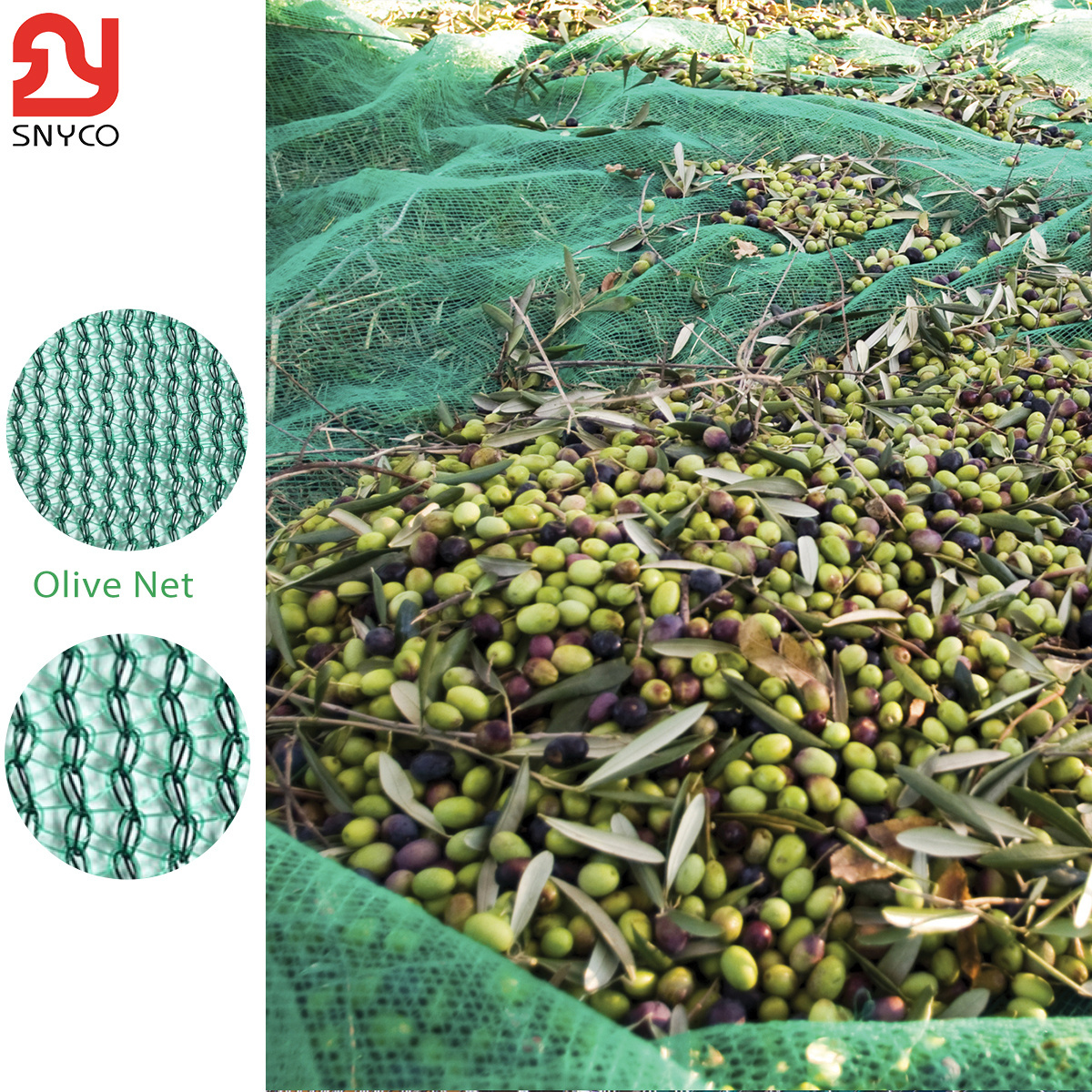 OLIVE NET - OEM High quality 100% HPDE Olive Harvest Net and Other kinds of fruits Collect Netting