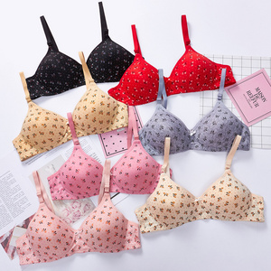 Wholesale Cheap Ladies Printed Underwear Thin Women Bra Without Steel Ring Multicolor Mom Brassiere