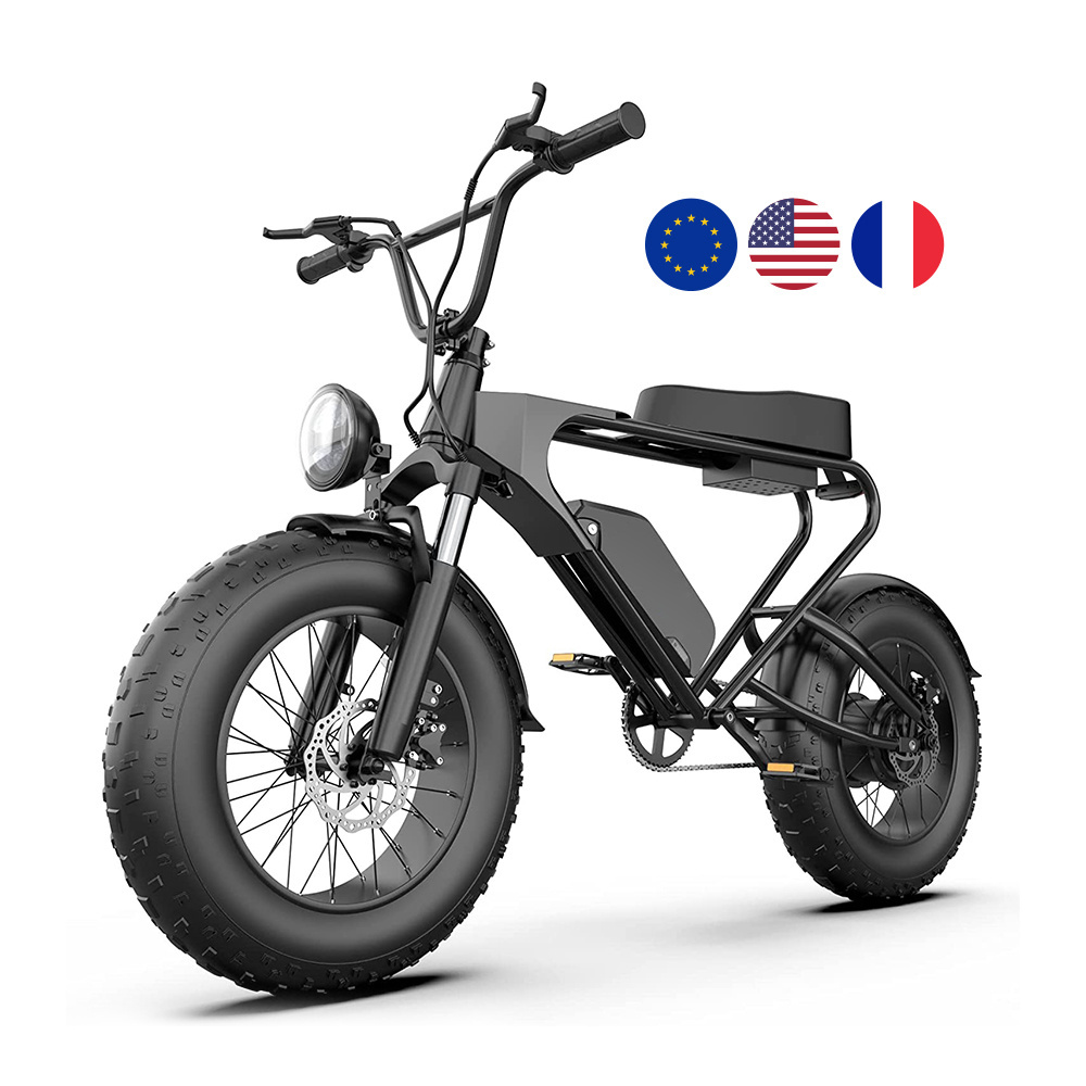 High Speed Electric Fat Tire Moped Hybrid City Mountain Road e Bike Vintage Tandem Electric Bicycle EU European