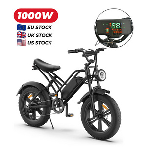 High Fashion Speed Pedelec 1000w Adult Long Range e Moped Style 48v 1000w e Road Electric e Bike Pedelec Fat Bike