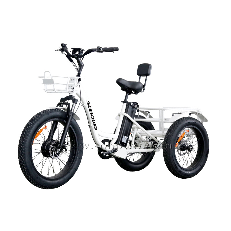 Factory Direct Sale electric tricycle 3 wheel electric cargo bike 48v electric cargo tricycle 500w electric trike fat tire