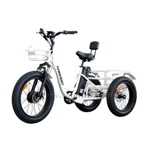 Factory Direct Sale electric tricycle 3 wheel electric cargo bike 48v electric cargo tricycle 500w electric trike fat tire