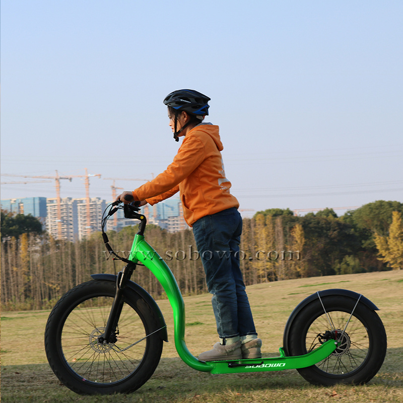 New design US EU free shipping electrical cross country kickbike 750W Xiao Electric kick bike Scooter