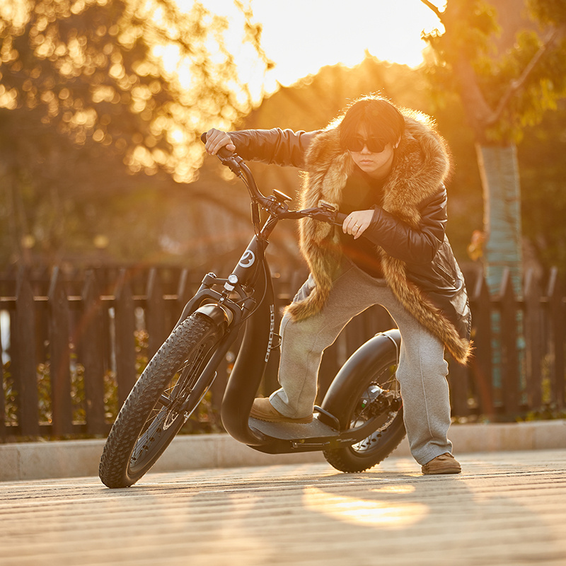 SOBOWO 750W 26 Inch Wheels Powerful Adults Kids EU USA Electric skate Scooter two wheel big power long deck standing scooter