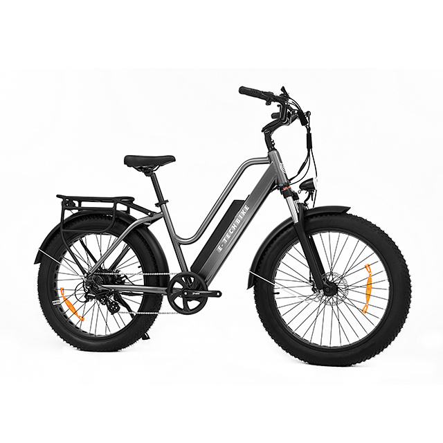 Clearance 30% off bafang full suspension electric bike 48v 750w fat tire beach cruiser 19.2ah electric mountain bike