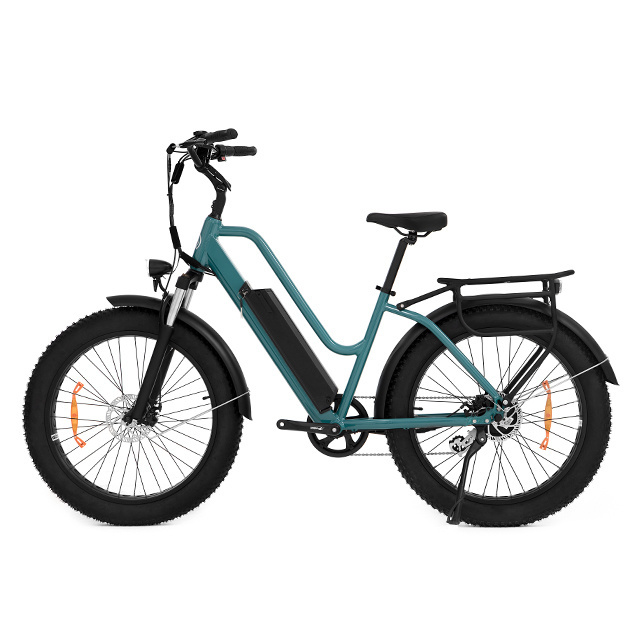 Clearance 30% off bafang full suspension electric bike 48v 750w fat tire beach cruiser 19.2ah electric mountain bike