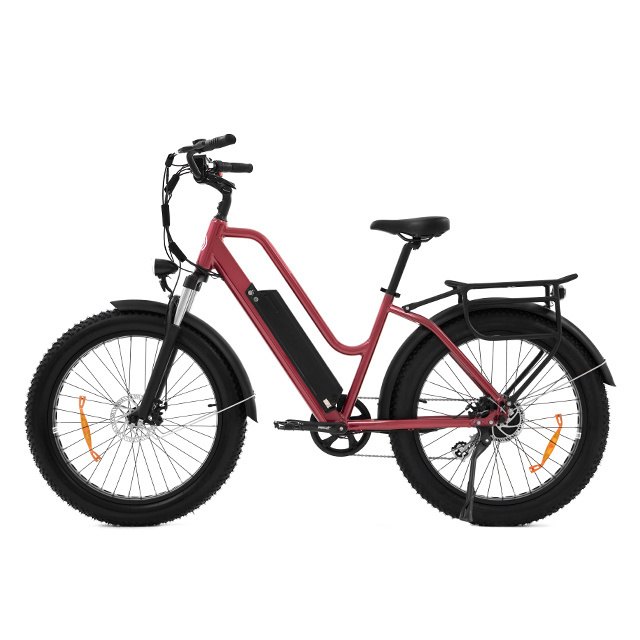 Clearance 30% off bafang full suspension electric bike 48v 750w fat tire beach cruiser 19.2ah electric mountain bike