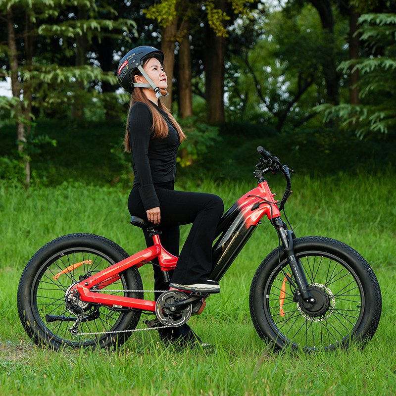 fast shipping velo electrique shimano 48v dual motor e mountain bike beach cruiser 1000w bafang kenda fat tire ebike bicicleta