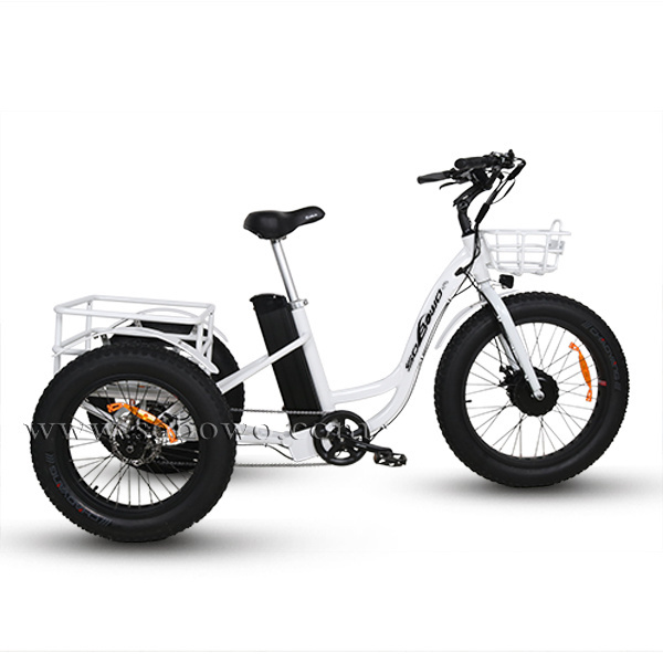 Factory Direct Sale electric tricycle 3 wheel electric cargo bike 48v electric cargo tricycle 500w electric trike fat tire