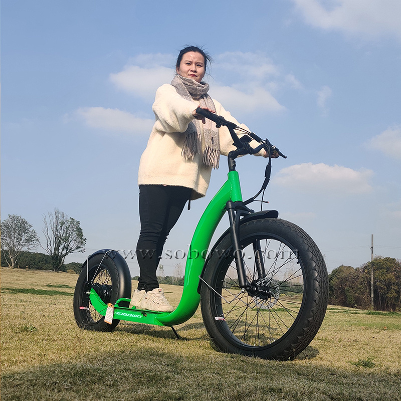 Shipping fee included 2 wheel adult electric kickbike dog scooter