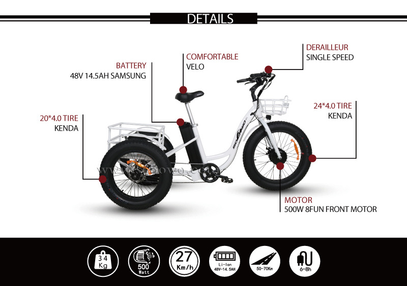 Factory Direct Sale electric tricycle 3 wheel electric cargo bike 48v electric cargo tricycle 500w electric trike fat tire