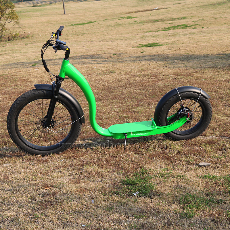 48V 750W lithium battery standing Beach Electric Scooter