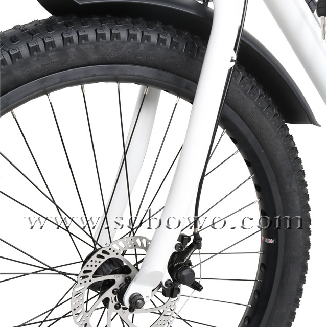 The Best Step-thru Beach Cruiser Fat Tire Electric Bike